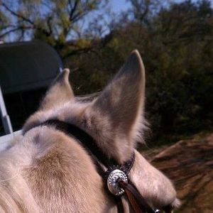 Meet your Posher, Cindy